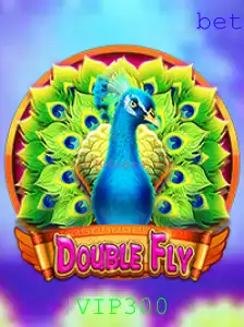 Explorando o Universo Emocionante de DoubleFly